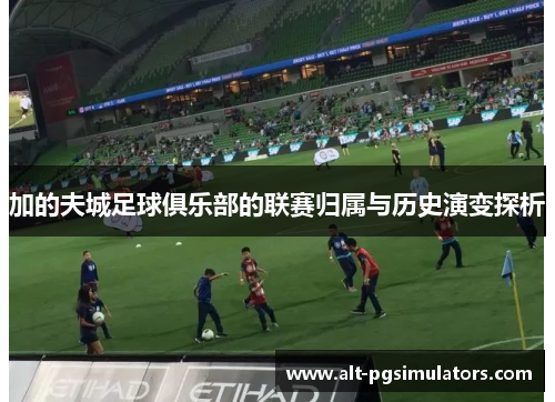 加的夫城足球俱乐部的联赛归属与历史演变探析